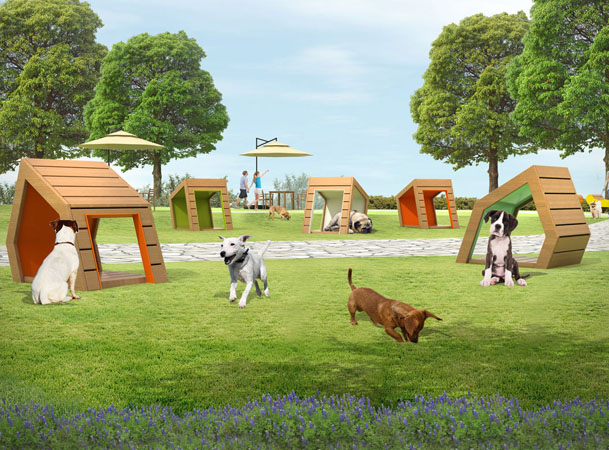 Waalo Village(Small dogs)