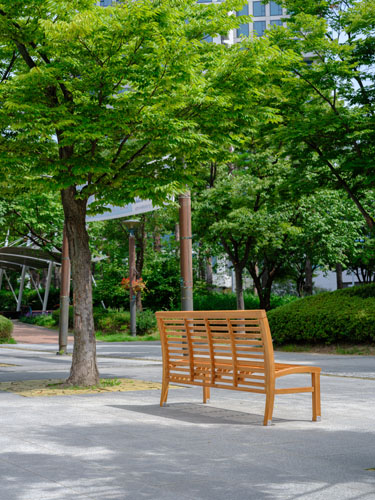 Silhouette Bench