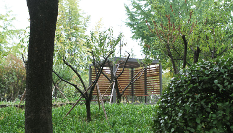Spazio Pergola