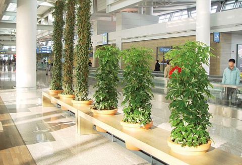 인천공항