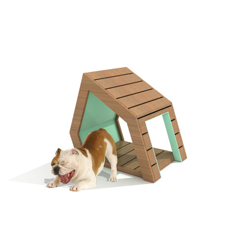Waalo Village(Small dogs)