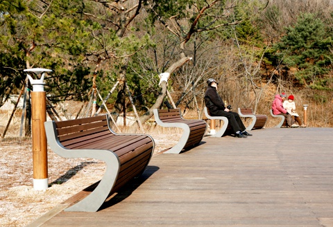North Seoul Dream Forest