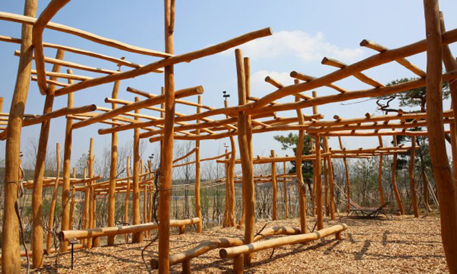 Gyeongbuk Provincial Government's Relocation Commemorative forest