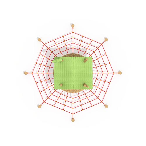 Forest Net Experience
