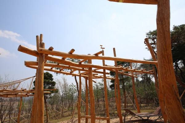 Gyeongbuk Provincial Government's Relocation Commemorative forest