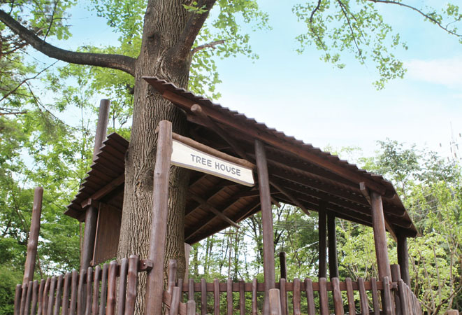 Choansan(Mt.) Campground