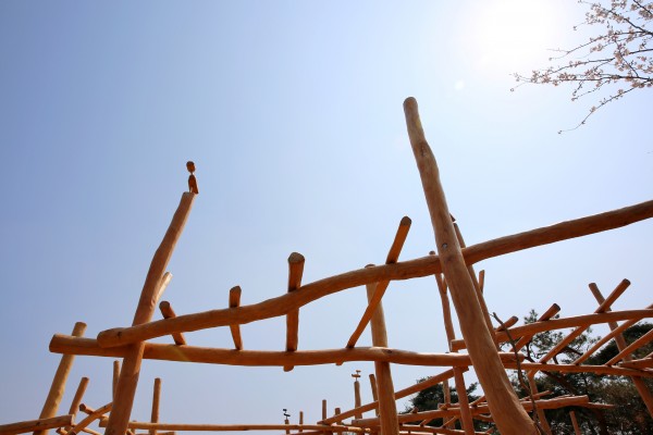 Gyeongbuk Provincial Government's Relocation Commemorative forest