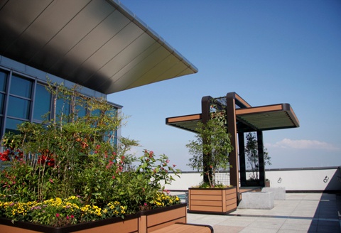 Incheon Airport Terminal