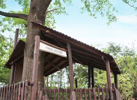 Choansan(Mt.) Campground