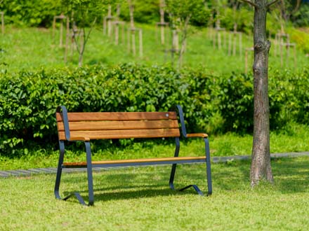 Finny Bench
