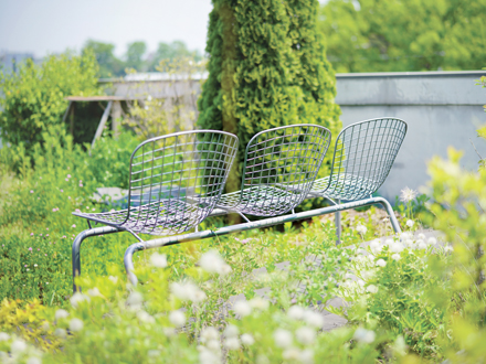 Wire Bench