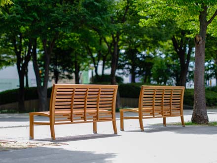 Silhouette Bench