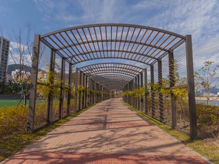 Trellis Pergola