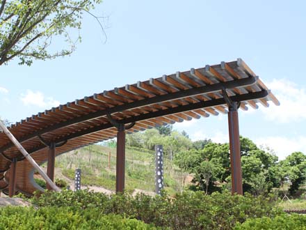 Rafter Pergola