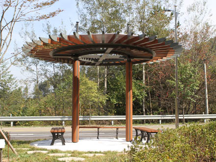 Rafter Pergola