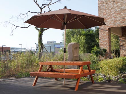 Parasol